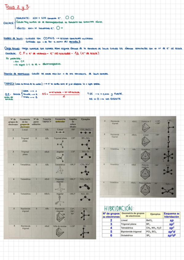 Miniatura del documento temas-2-y-3.pdf