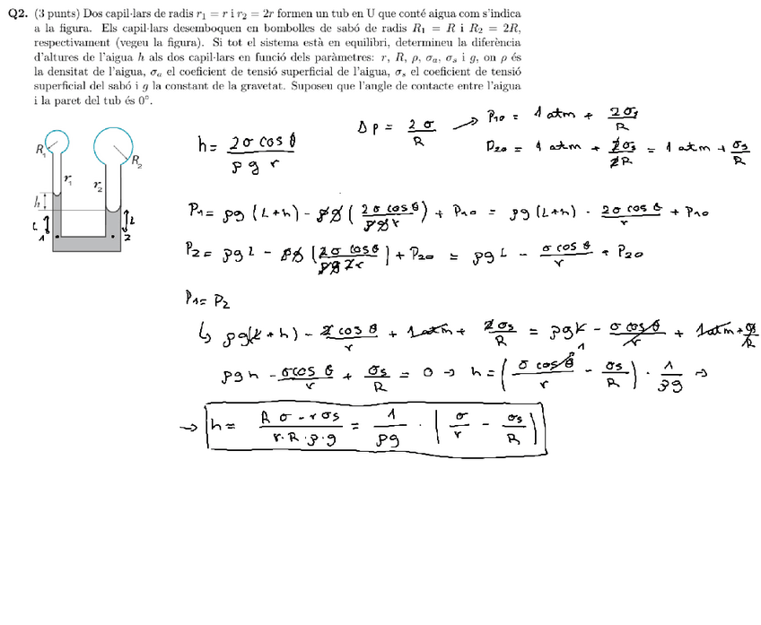 Miniatura del documento bombolles.pdf