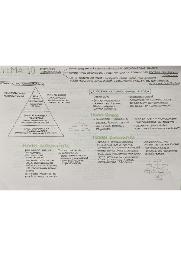 Miniatura del documento tema-10-esquema-resum.pdf