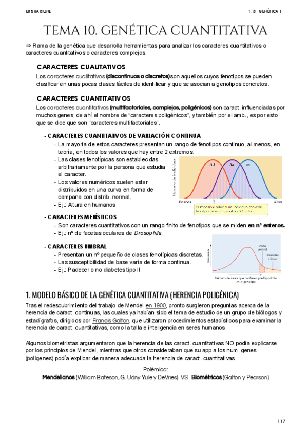 Miniatura del documento Tema-10-Genetica-Cuantitativa.pdf