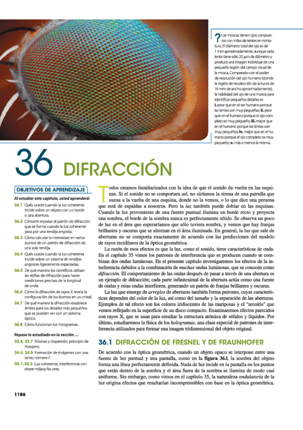 Miniatura del documento FisicaZemanskyTema36.pdf