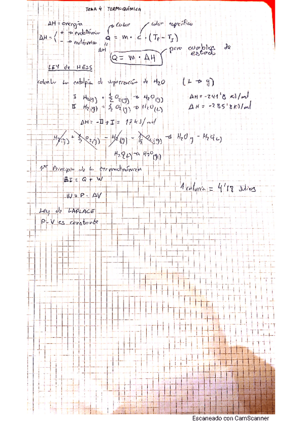 Miniatura del documento Termoquimica.pdf