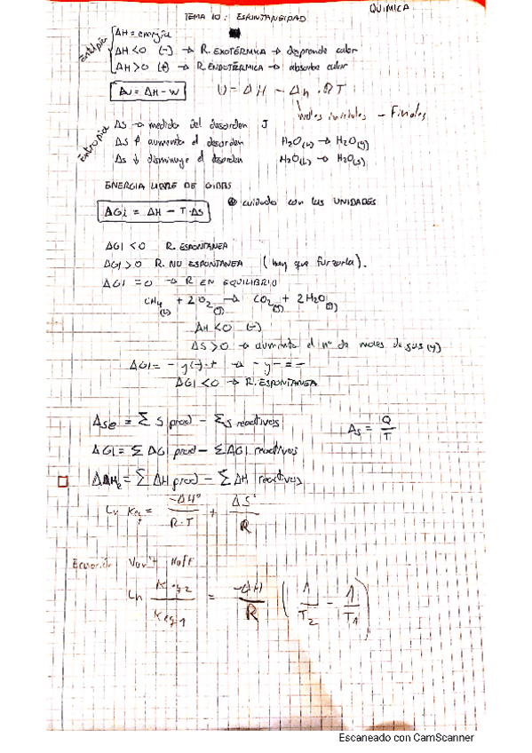 Miniatura del documento Espontaneidad.pdf
