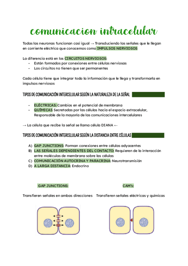 Miniatura del documento Apuntes-tema-5-Biologia-Celular.pdf