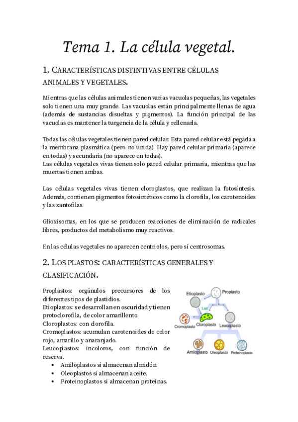 Miniatura del documento Fisiologia-vegetal.pdf