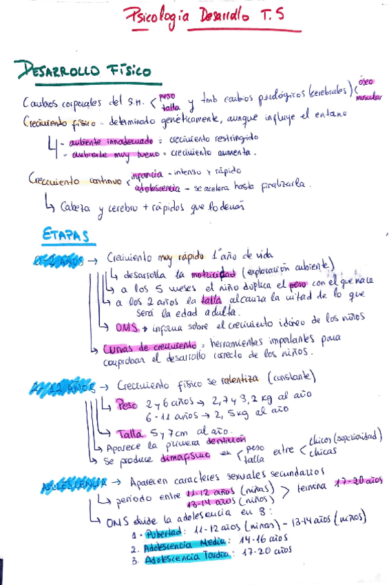 Miniatura del documento tema-5-psicologia-del-desarrollo.pdf