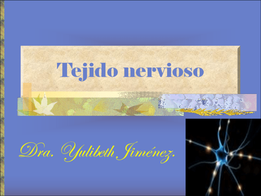 Miniatura del documento Tejido Nervioso.pdf