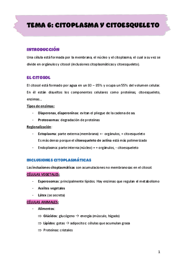 Miniatura del documento TEMA-6-BIO-CELULAR.-Citoplasma.-Citoesqueleto-y-estructuras-relacionadas.pdf