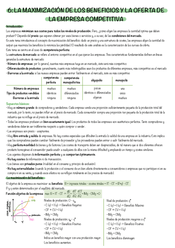 Miniatura del documento tema-6-microeconomia-I.pdf
