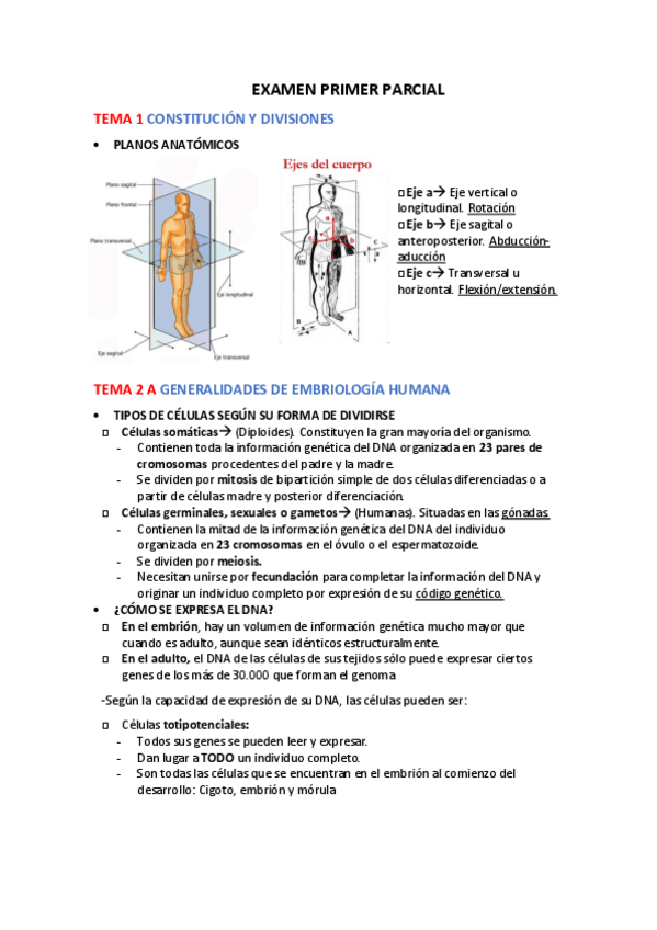 Miniatura del documento PRIMER-PARCIAL.pdf