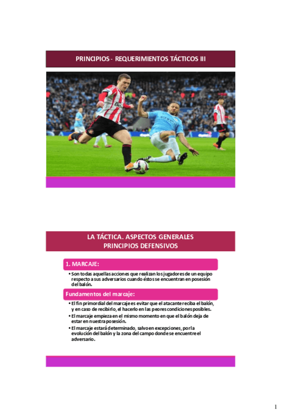 Miniatura del documento Tactica-Colec-Def.pdf