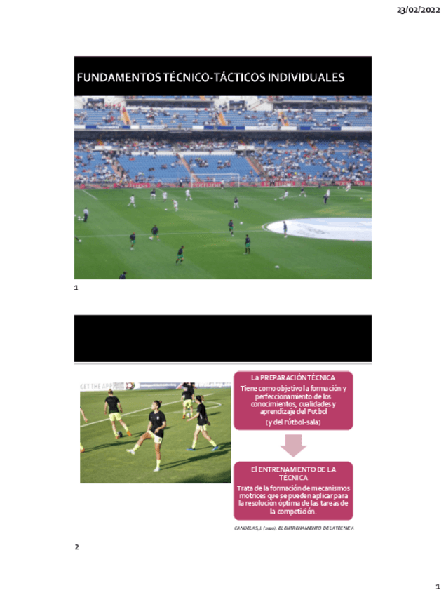 Miniatura del documento Tecnico-Tacticos-Indv-Ofen-1.pdf