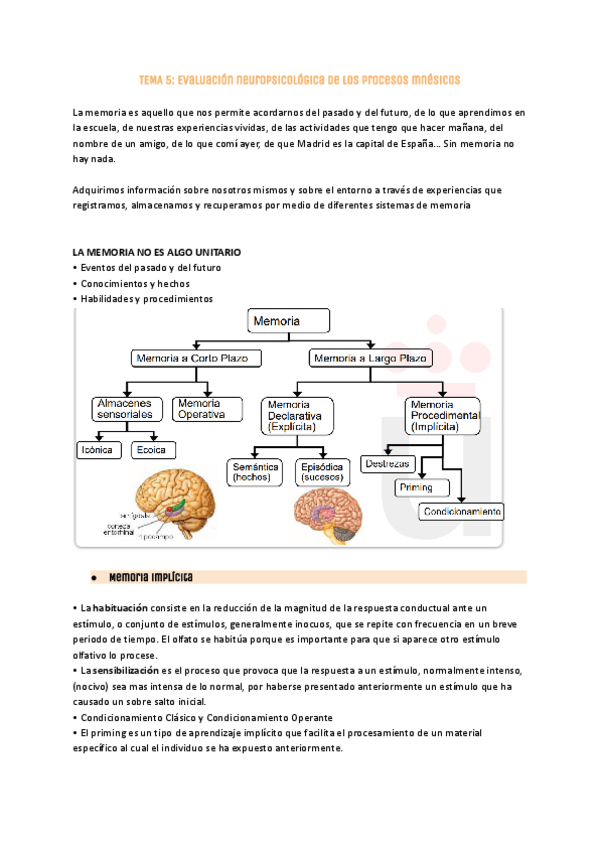 Miniatura del documento Tema-5-evaluacion-neuropsicologica-1.pdf