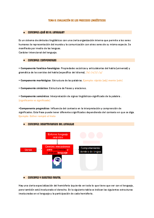 Miniatura del documento Tema-6-evaluacion-neuropsicologica-1.pdf