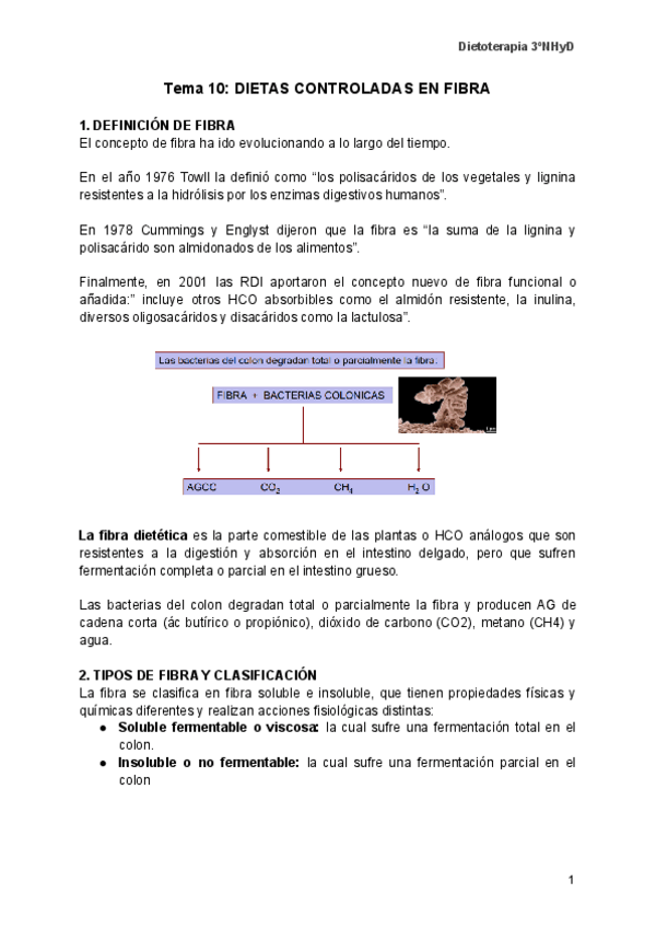 Miniatura del documento 10.-DIETO.pdf