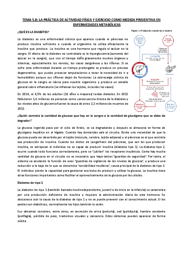 Miniatura del documento TEMA-5.b-clase-28-11.docx.pdf