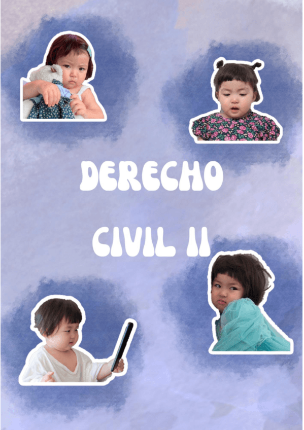 Miniatura del documento CIVIL APUNTES BONITOS.pdf