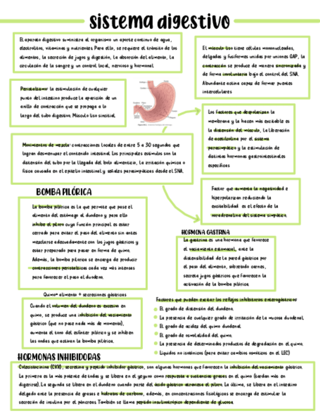 Miniatura del documento DIGESTIVO-ESQUEMA.pdf