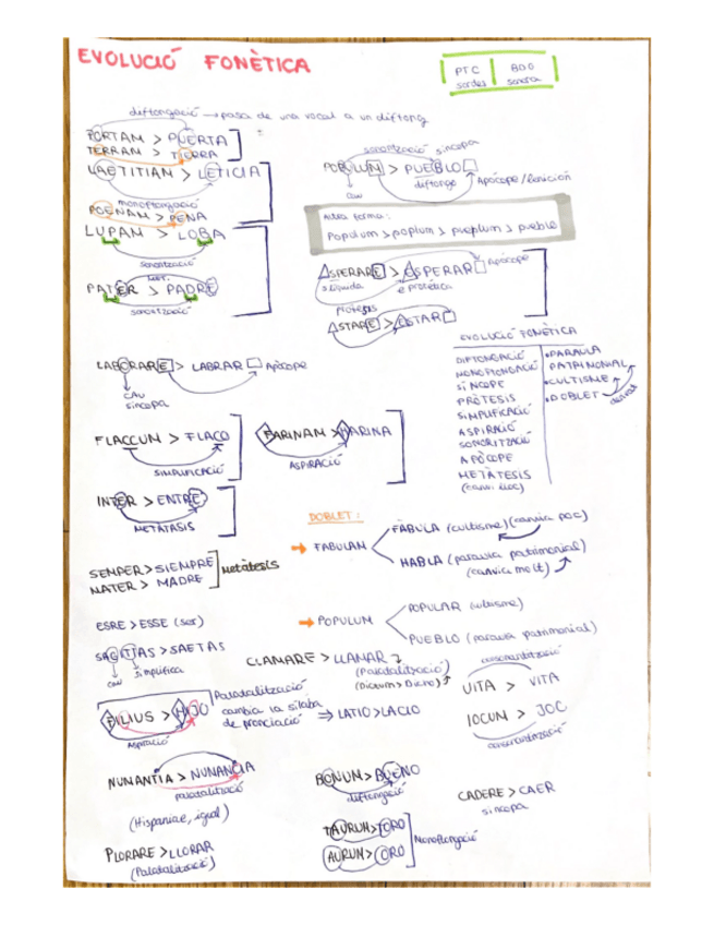Miniatura del documento Apunts-classe-EVOLUCIO-FONETICA.pdf