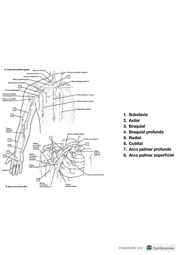 Miniatura del documento Imagenes-examen-parcial-2022.pdf