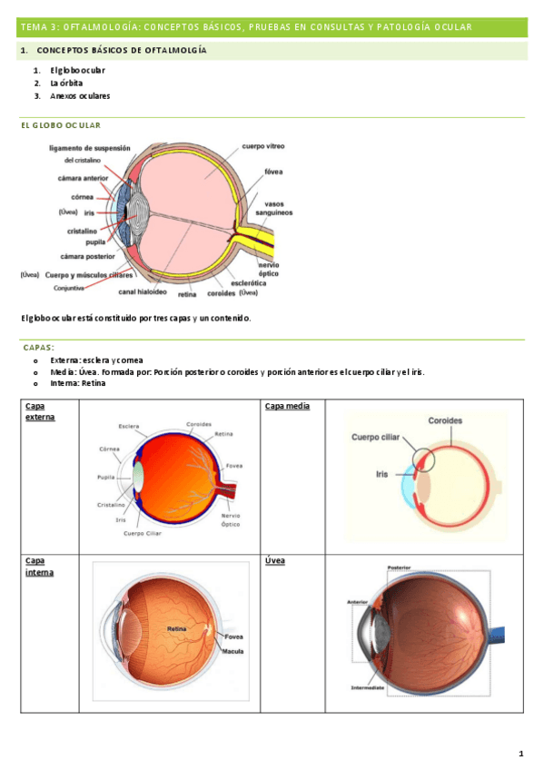 Miniatura del documento OFTALMOLOGIA.pdf