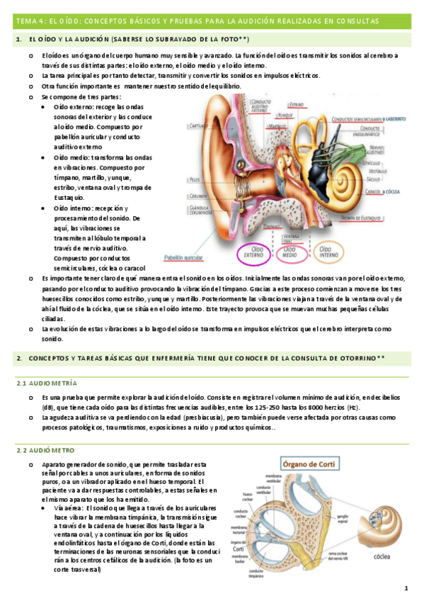 Miniatura del documento TEMA-4-EL-OIDO.pdf