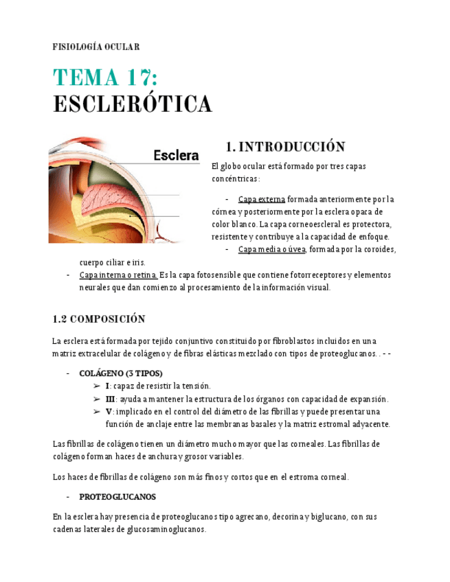 Miniatura del documento T.17-Esclera.pdf
