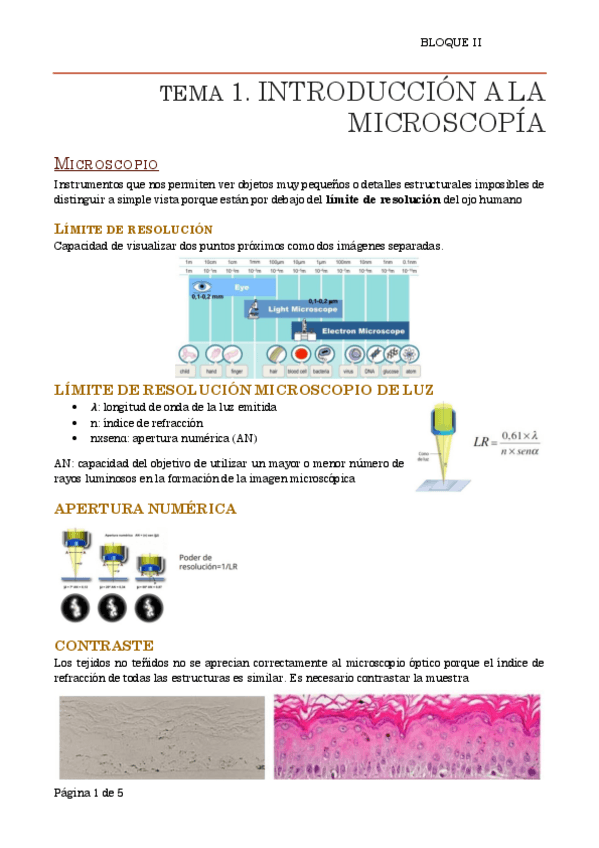 Miniatura del documento Microscopios.pdf