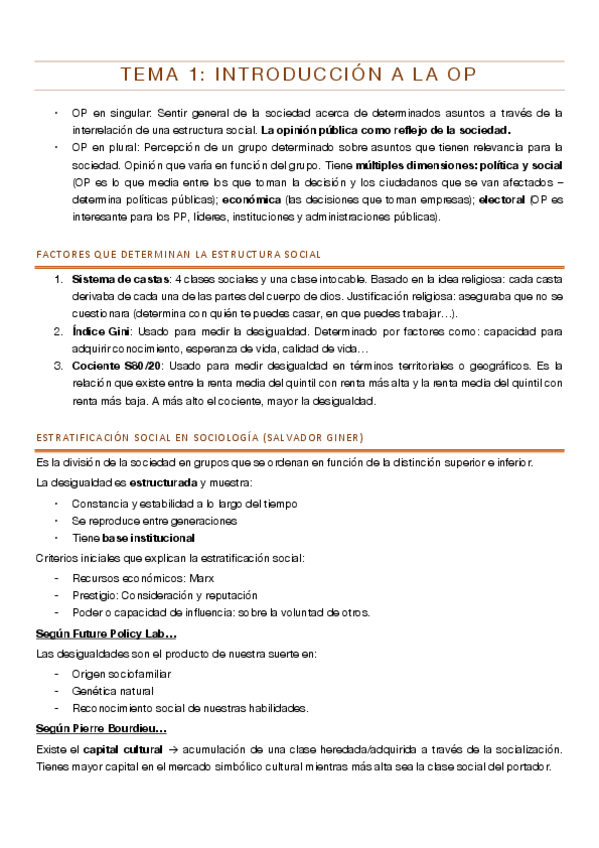 Miniatura del documento Resumen-OP.pdf