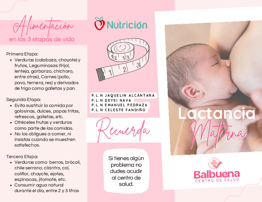 Miniatura del documento LACTANCIA-MATERNA-TRIPTICO.pdf