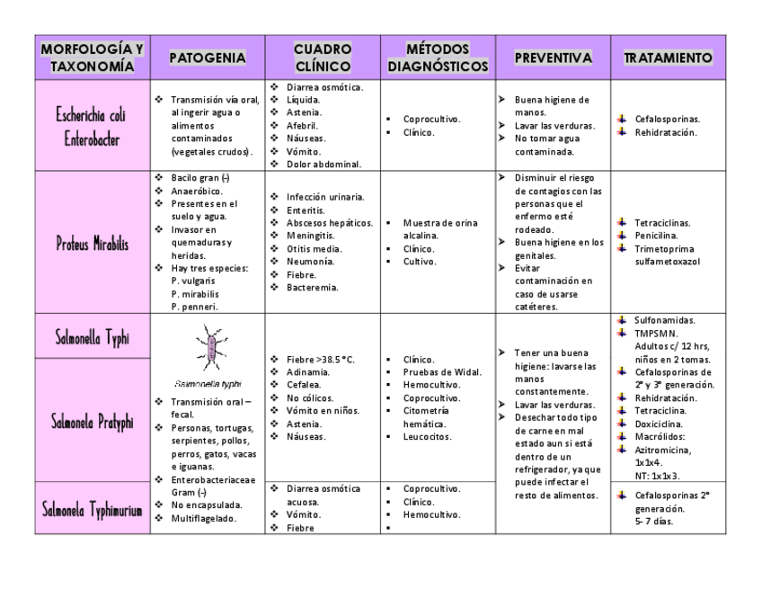 Miniatura del documento CUADRO-MICROBIOLOGIA.pdf