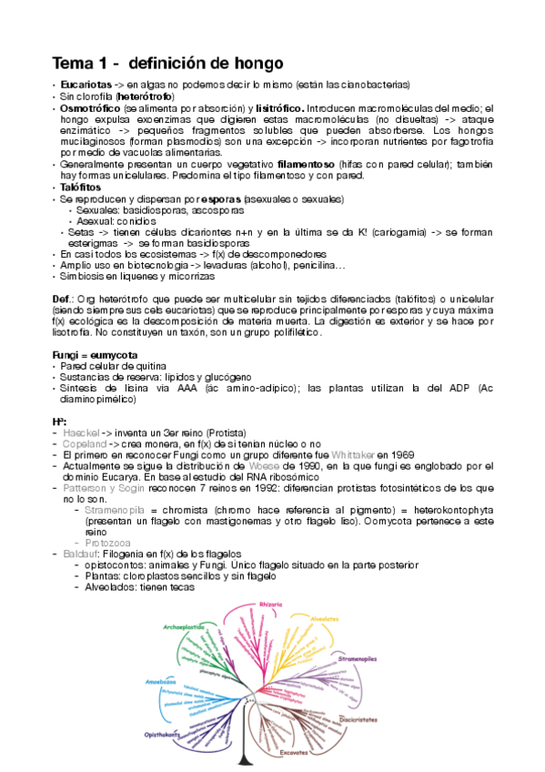Miniatura del documento DFA-T1-definicion-de-hongo.pdf