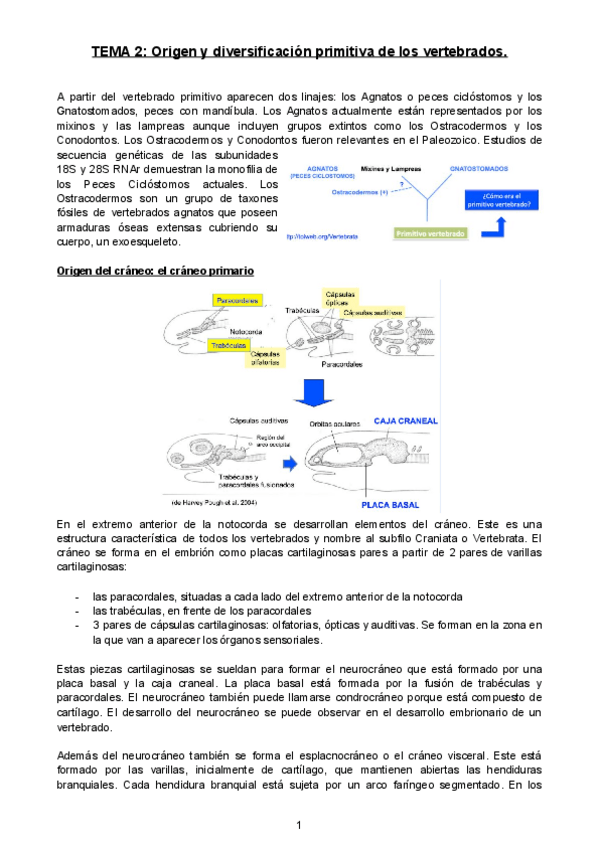 Miniatura del documento TEMA-2.docx.pdf