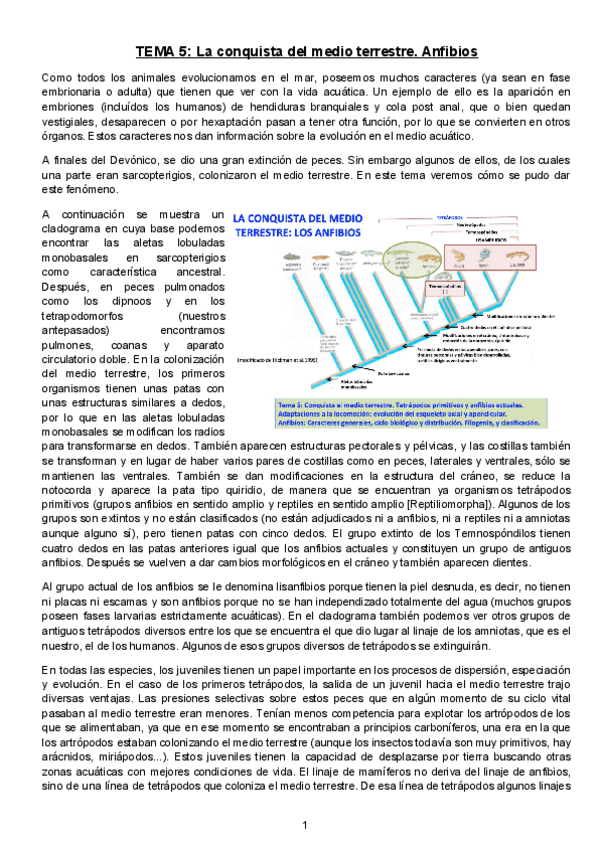 Miniatura del documento TEMA-5.docx.pdf