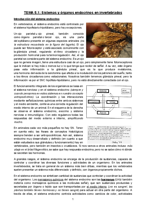 Miniatura del documento Tema-5.pdf