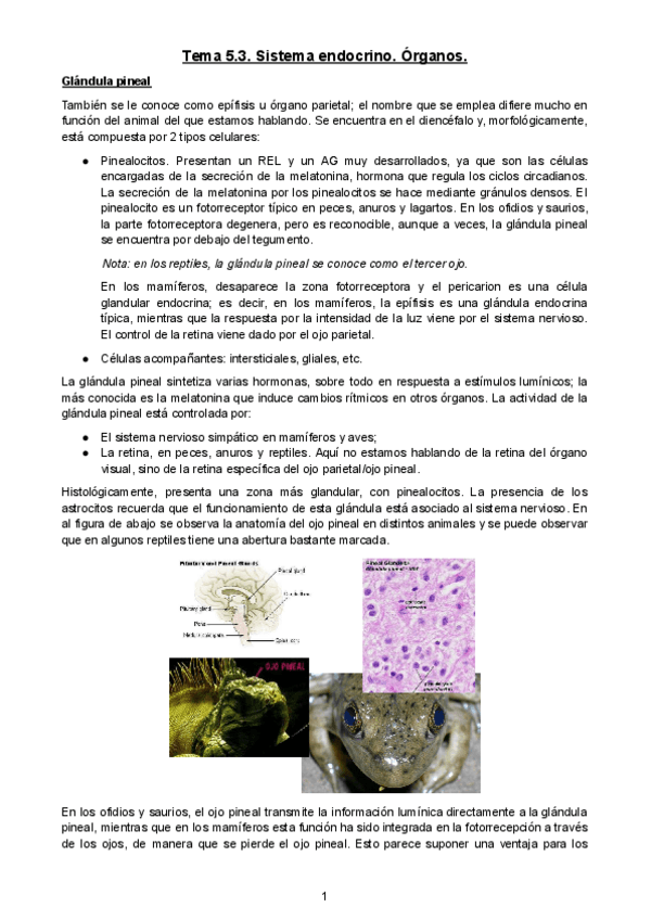 Miniatura del documento Tema-5.pdf