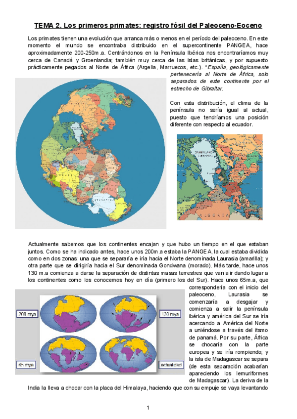Miniatura del documento TEMA-2-Paleoceno-Eoceno.pdf
