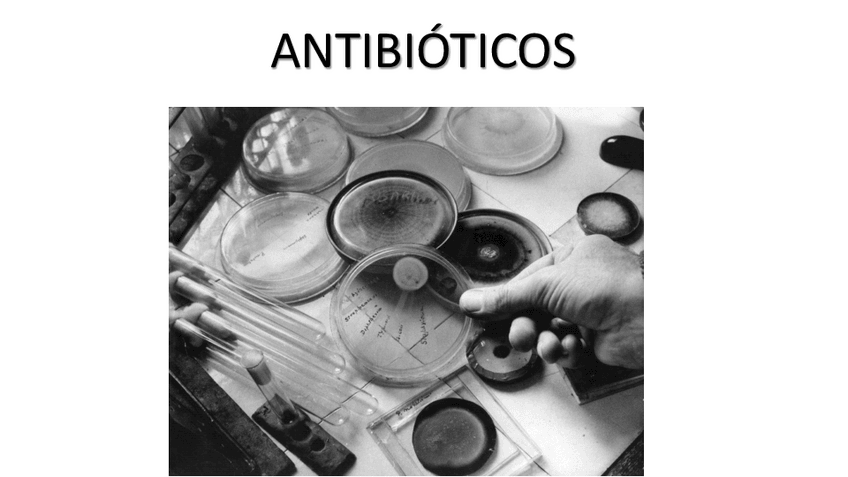 Miniatura del documento Antibioticos.pdf