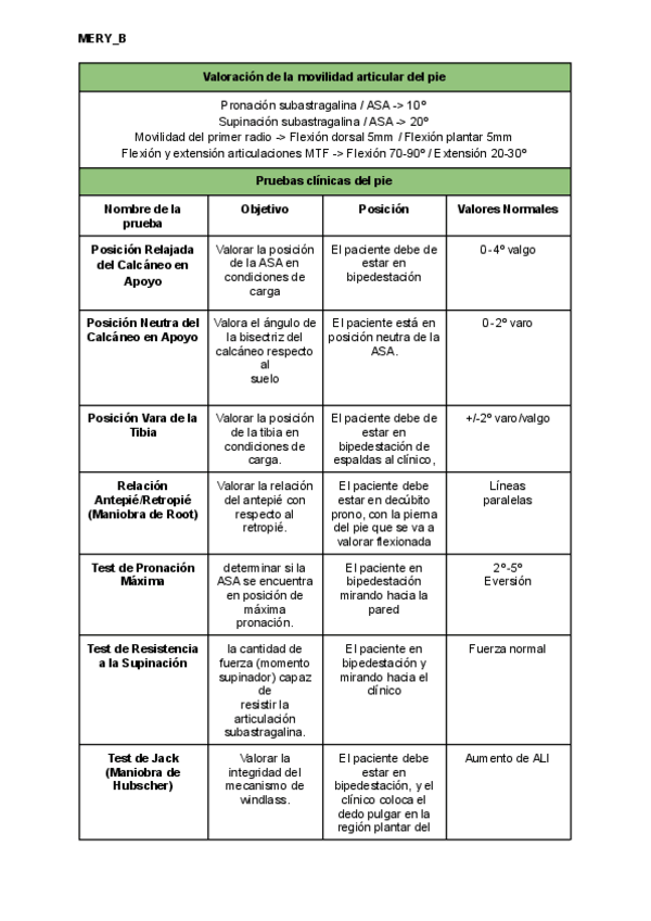 Miniatura del documento PRUEBAS-Y-MANIOBRAS.pdf