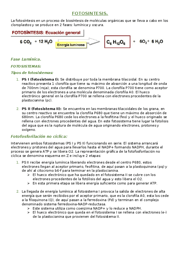 Miniatura del documento Fotosintesis..docx