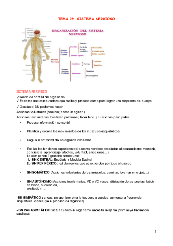 Miniatura del documento TEMA-29.pdf