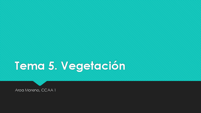 Miniatura del documento Analisis-geografico-5-CCAA-1.pdf