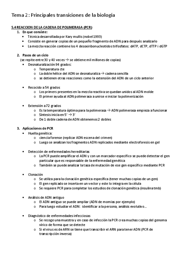 Miniatura del documento P2.pdf