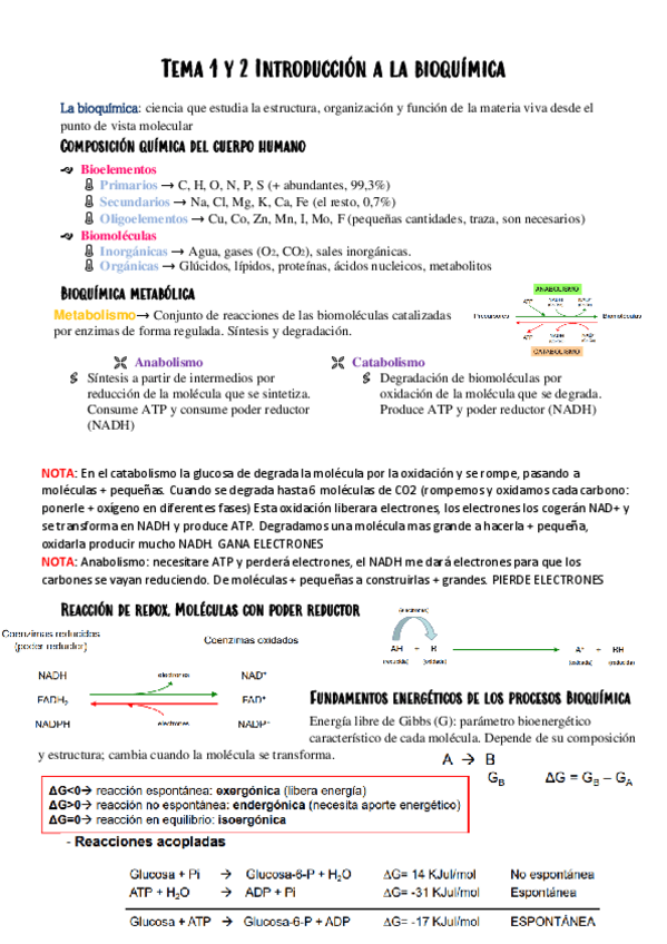 Miniatura del documento Bioquimica-Tema-1-2-regalado.pdf