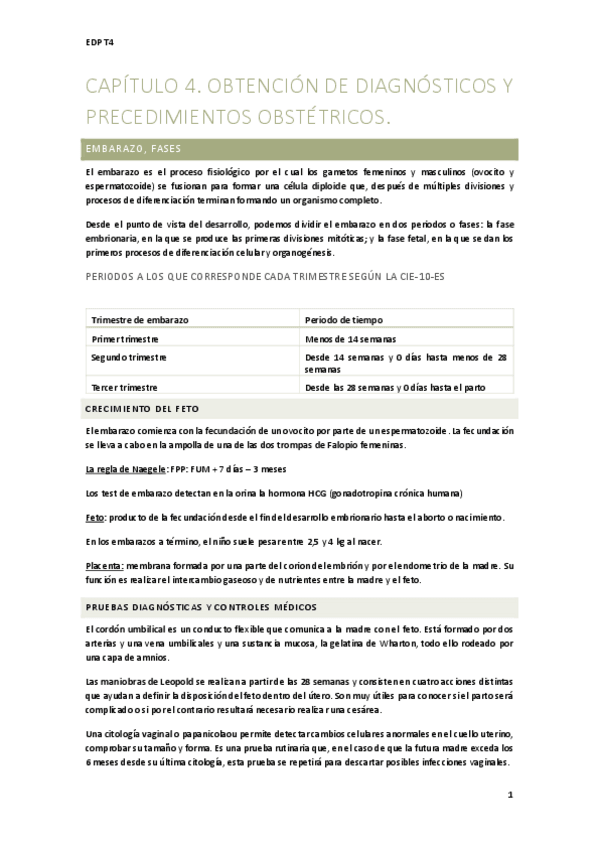 Miniatura del documento Capitulo-4.pdf