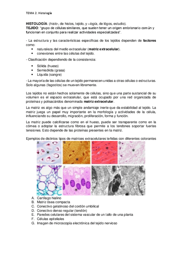 Miniatura del documento TEMA-2-Histologia.pdf