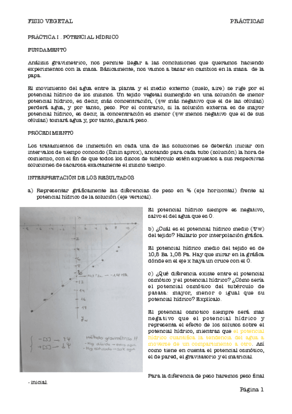 Miniatura del documento PRACTICAS-FISIO-VEG-2023.pdf