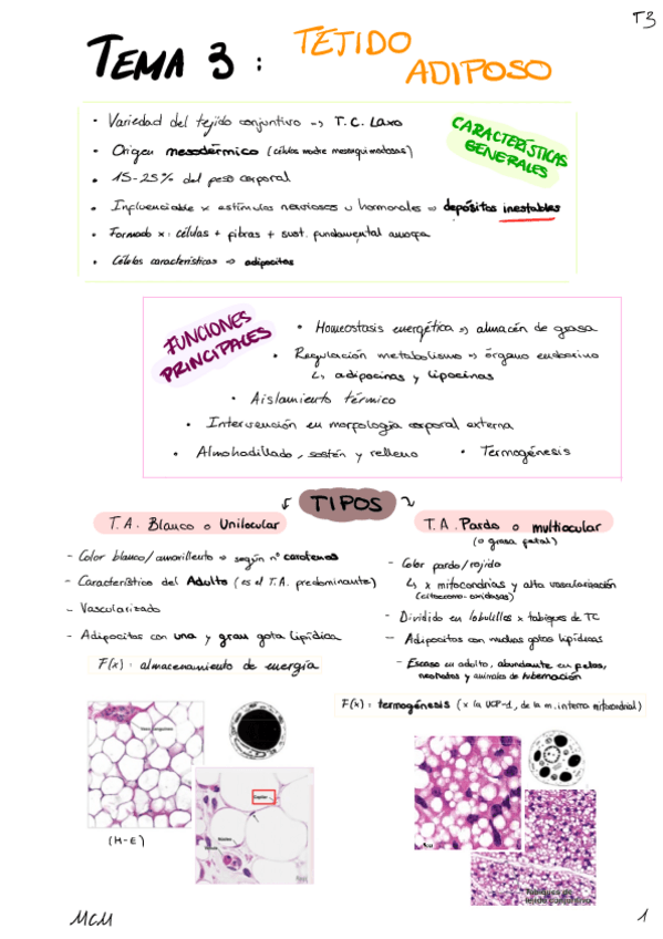 Miniatura del documento T3-Tejido-Adiposo.pdf