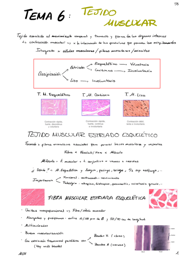 Miniatura del documento T6-Tejido-Muscular-Y-Muscular-Cardiaco-no-ta-terminao.pdf