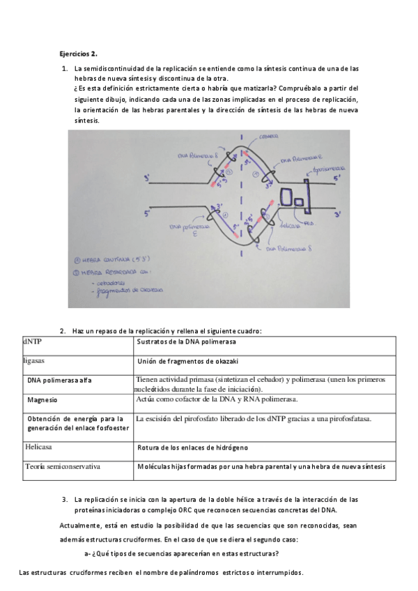 Miniatura del documento Ejercicios optativos 1 - BLOQUE INICIAL.pdf